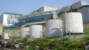 Production process