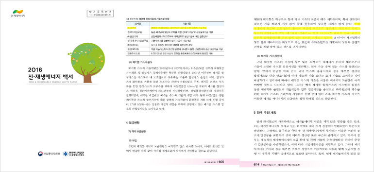 Valuation Report